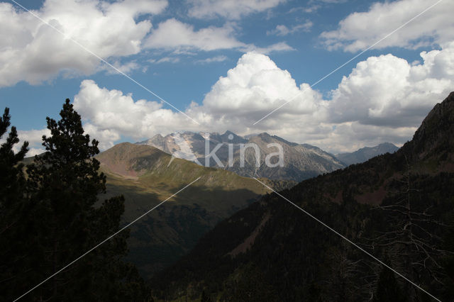 Pyrenees