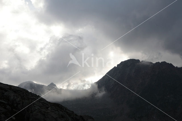 Pyrenees