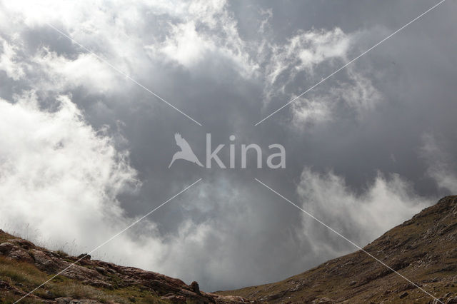 Pyrenees