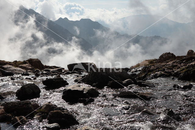 Pyrenees