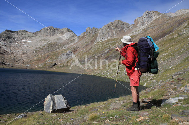 Pyrenees