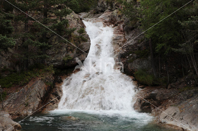 Pyrenees