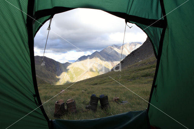 Pyrenees