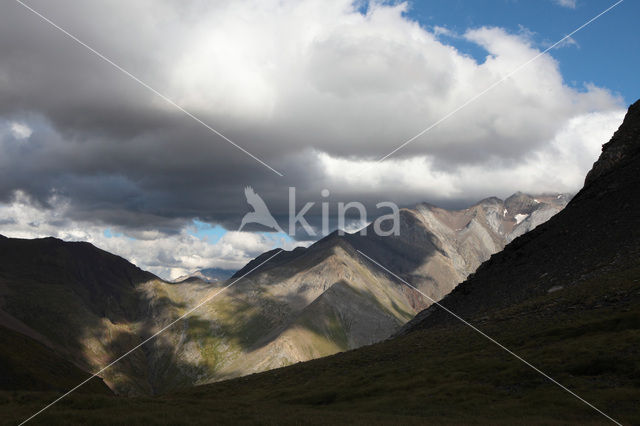 Pyreneeën
