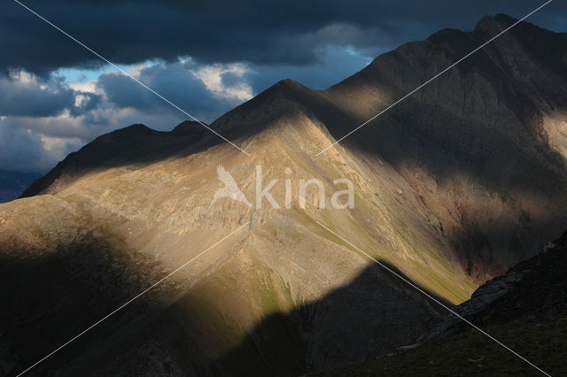 Pyrenees