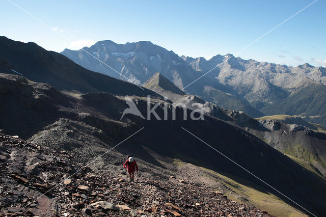 Pyreneeën