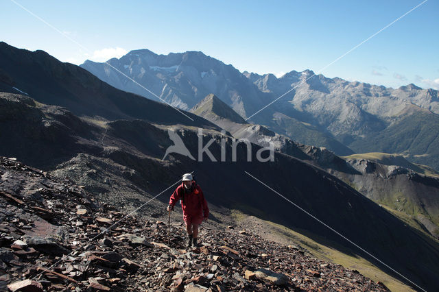 Pyrenees