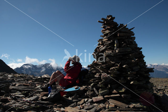 Pyrenees