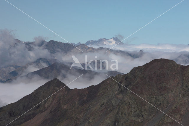 Pyrenees