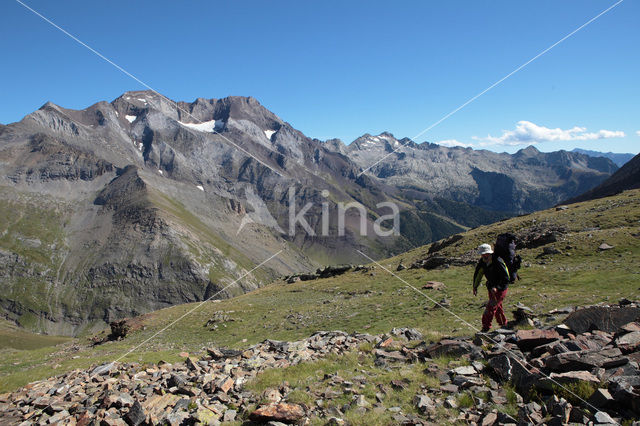 Pyrenees