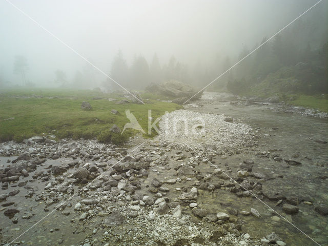 Vallée de Lutour