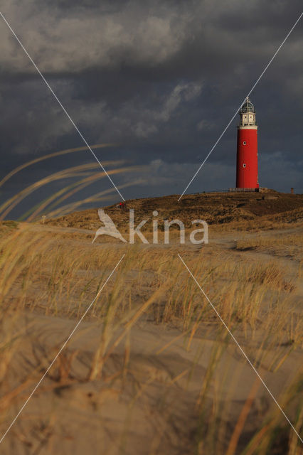 Vuurtoren Eierland