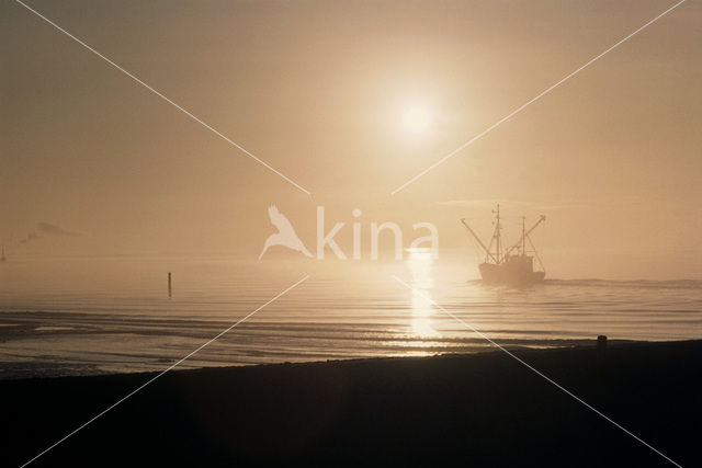 Waddenzee