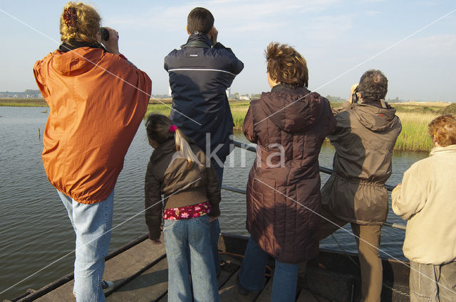 Wormer- en Jisperveld