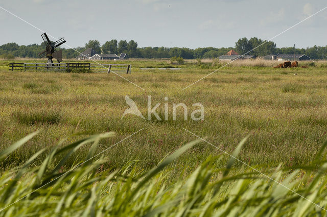 Wormer- en Jisperveld