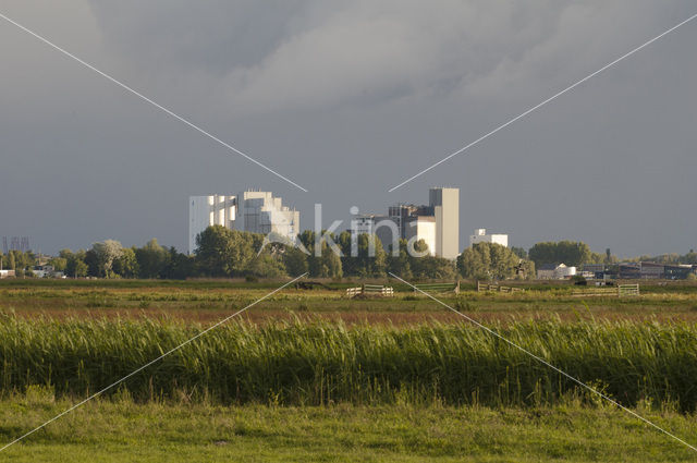 Wormer- en Jisperveld