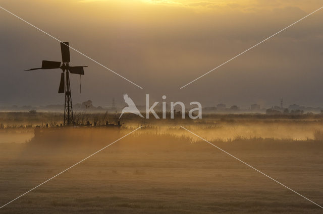 Wormer- en Jisperveld