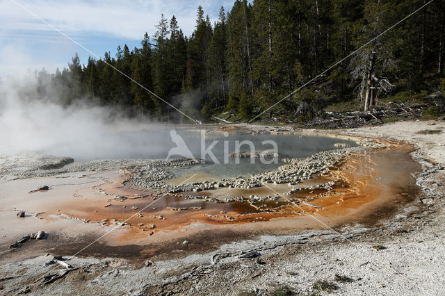 Yellowstone National Park