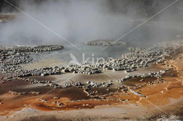 Yellowstone National Park