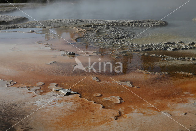 Yellowstone National Park