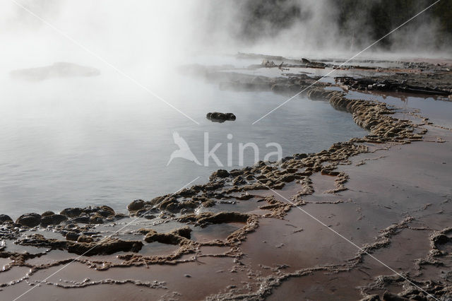 Yellowstone National Park