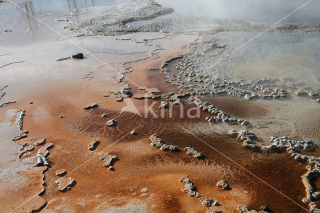 Yellowstone National Park