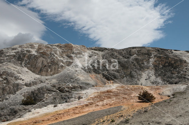 Yellowstone national park