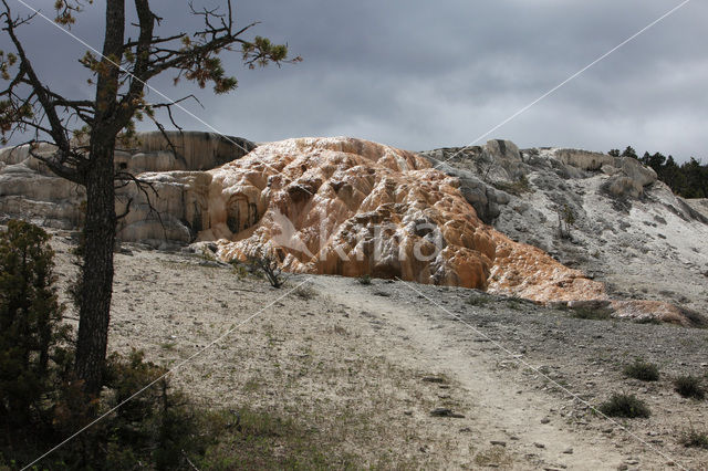 Yellowstone national park