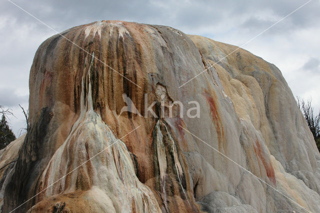 Yellowstone national park