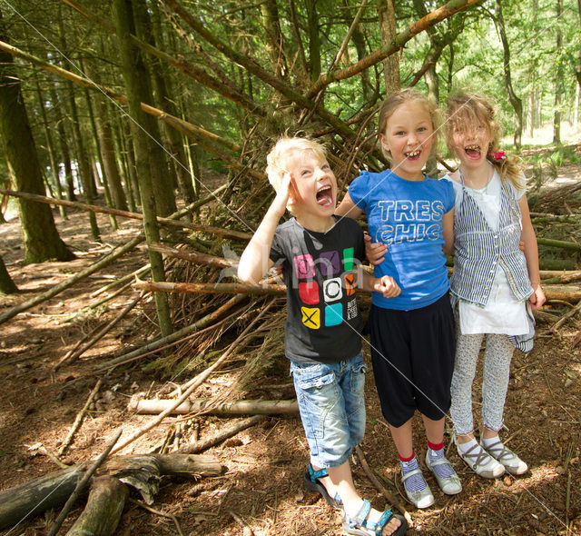 Boswachterij Ommen