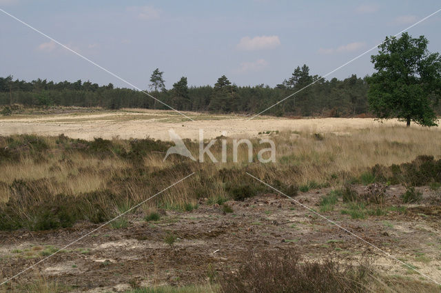 Nationaal Park Grenspark De Zoom