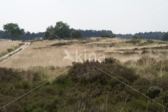 National Park Cross-border park De Zoom