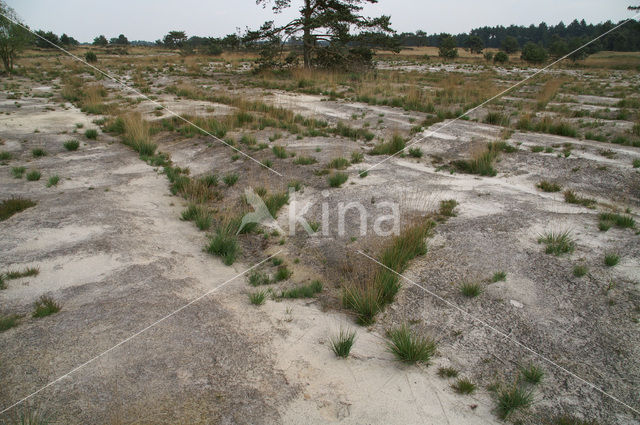 Nationaal Park Grenspark De Zoom