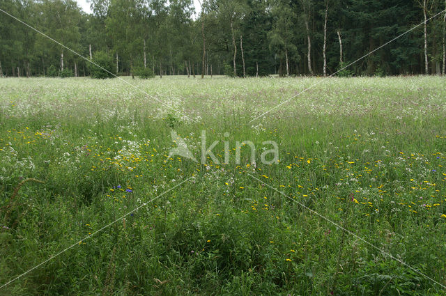 Nationaal Park Grenspark De Zoom