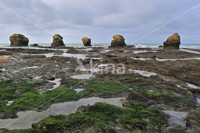 Plage des Cinq Pineaux