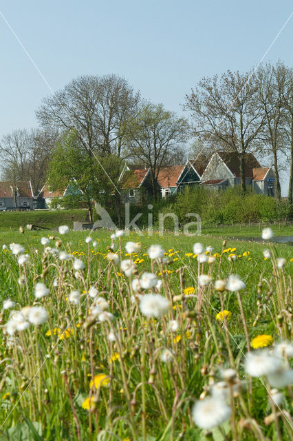 Schokland