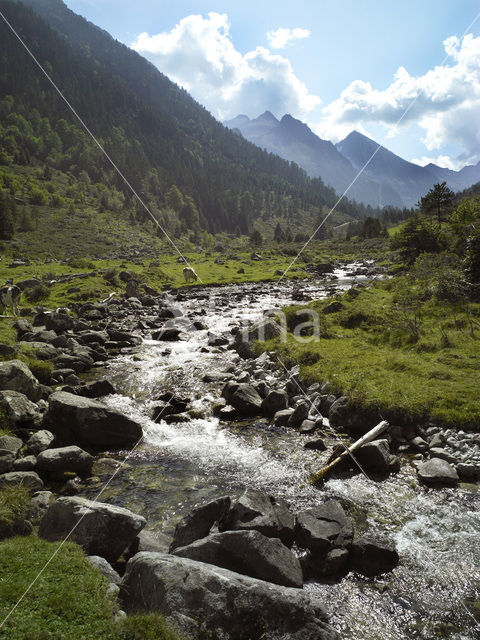 Vallée de Lutour