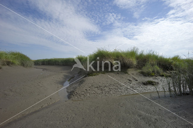 Verdronken Land van Saeftinghe