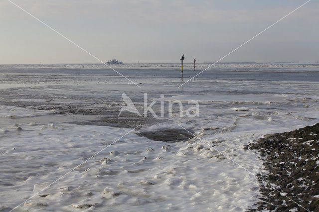 Waddensea