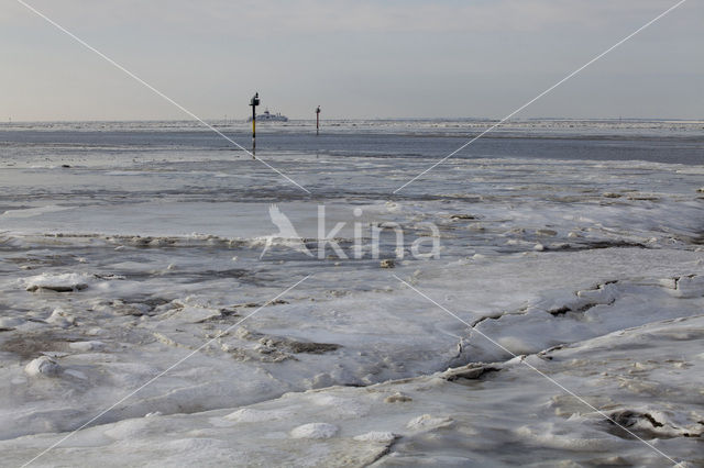 Waddenzee