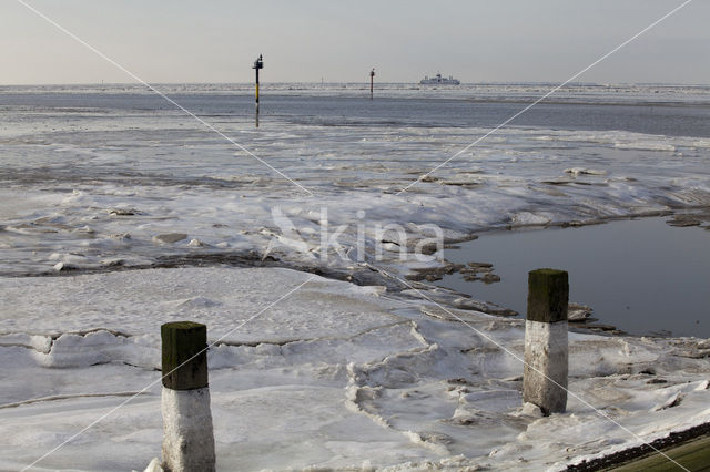 Waddenzee