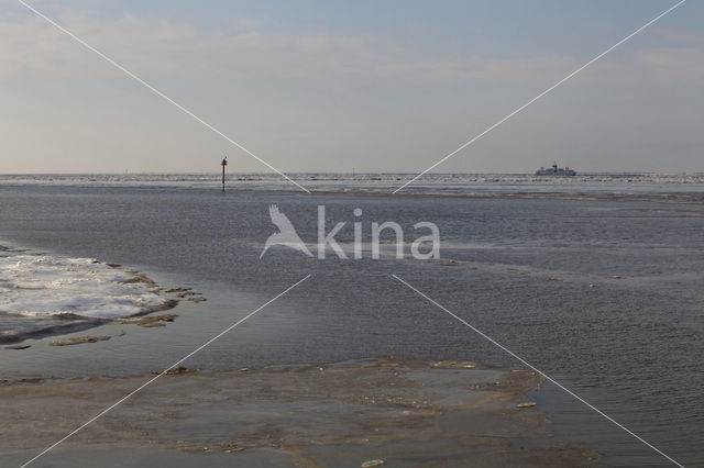 Waddensea