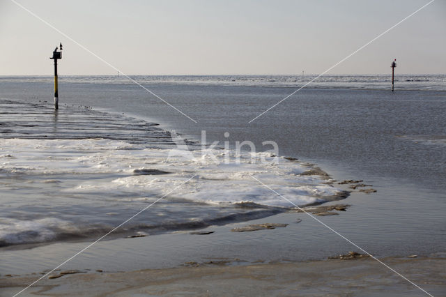 Waddensea