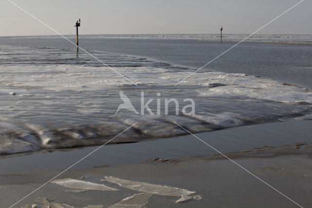 Waddensea