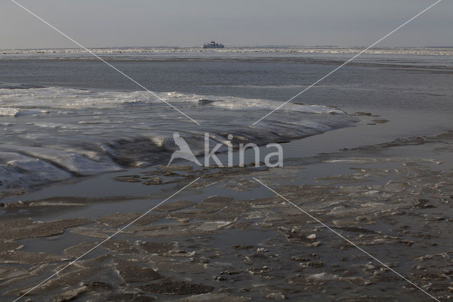 Waddensea