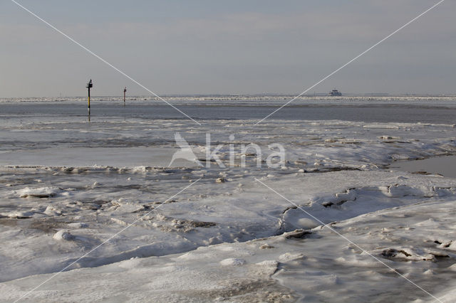 Waddenzee