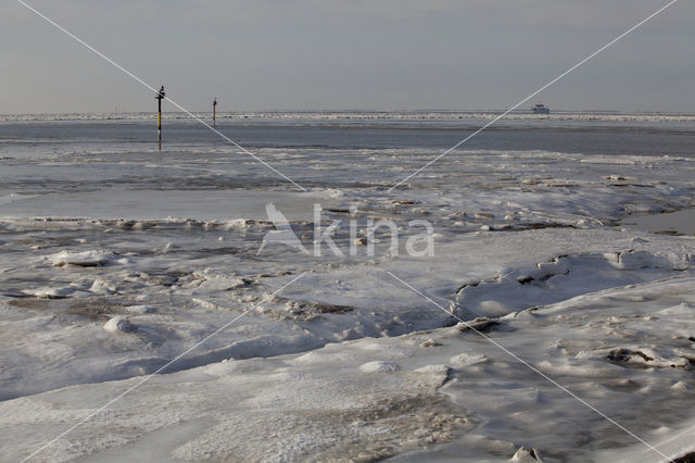 Waddenzee