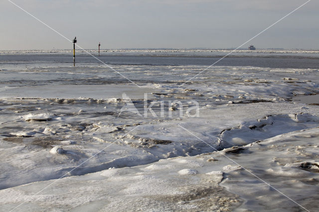 Waddensea