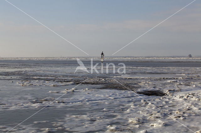 Waddensea