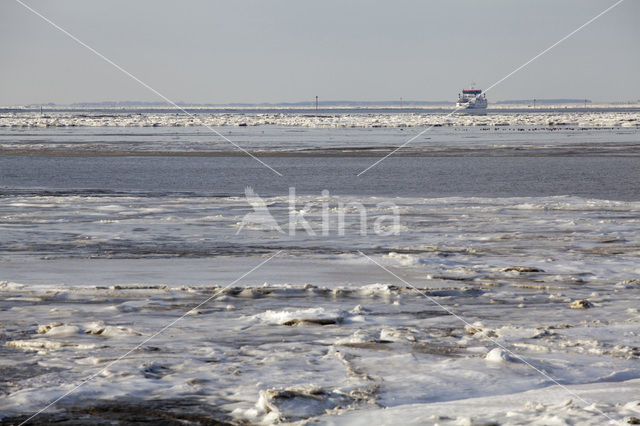 Waddenzee